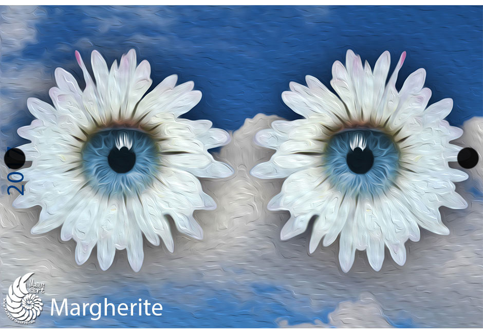 margherite