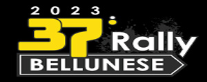 Rally Bellunese